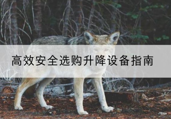 石城升降货梯厂家推荐-*安全选购升降设备指南
