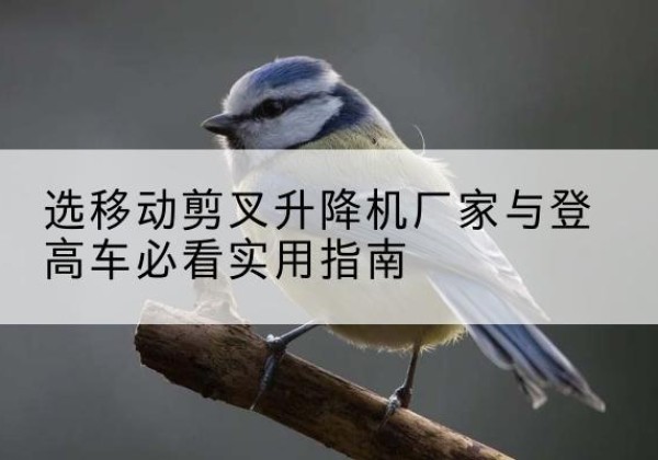石城电动升降机厂家-选移动剪叉升降机厂家与登高车必看实用指南