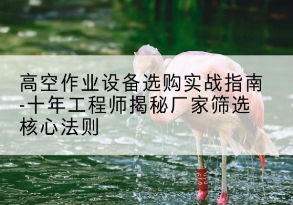 石城剪叉式升降机厂家-高空作业设备选购实战指南-十年工程师揭秘厂家筛选核心法则